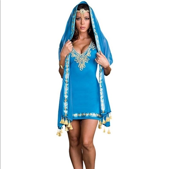 Dreamgirl Taj Mahal Princess Costume. New. - Picture 1 of 5